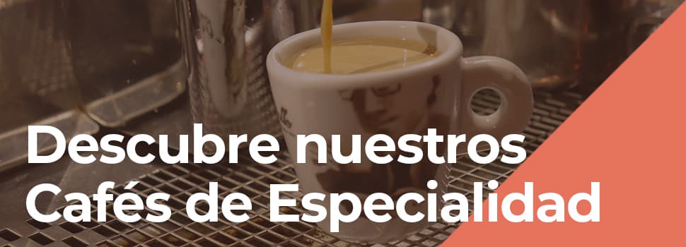 donde comprar cafe de especialidad