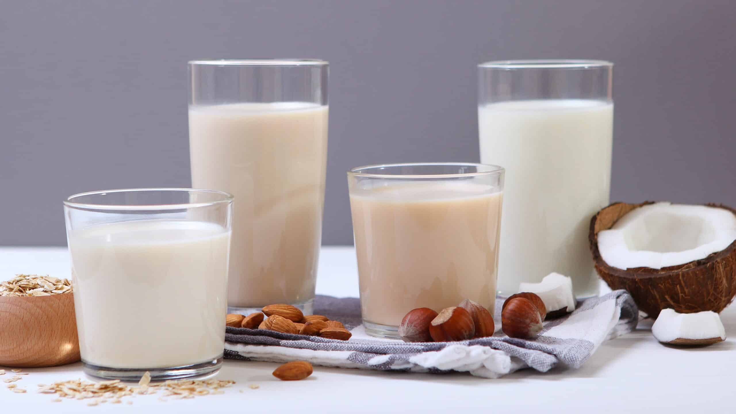 tipos de leche para café