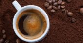 café arábica en grano taza y granos cafés el criollo